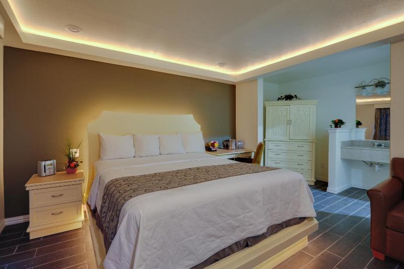 Deluxe King Suite image 3