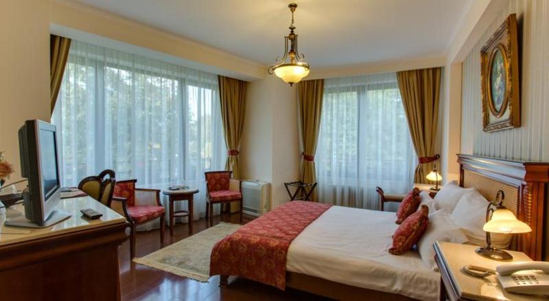 Superior Double Room image 4