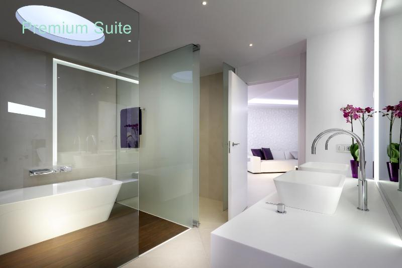 Premium Suite image 4