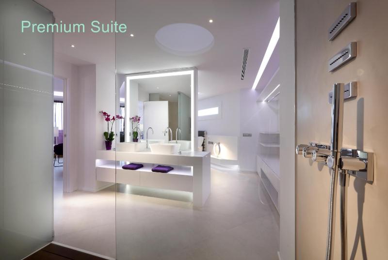 Premium Suite image 2