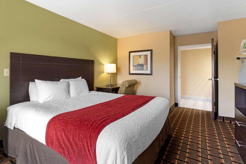 King Room with Mobility Accessible Tub - Non-Smoking image 1