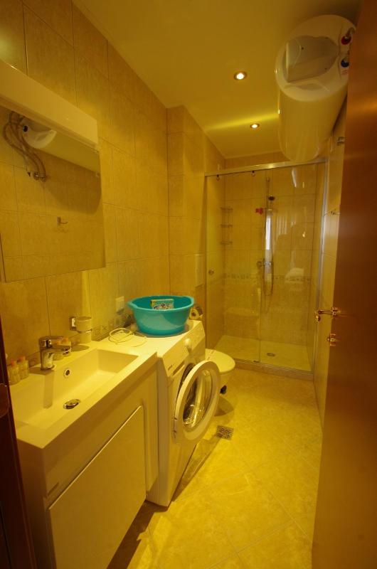 One-Bedroom Apartment image 4