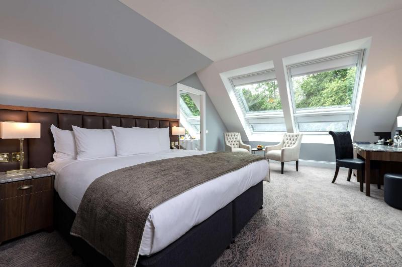 King Suite with View image 1