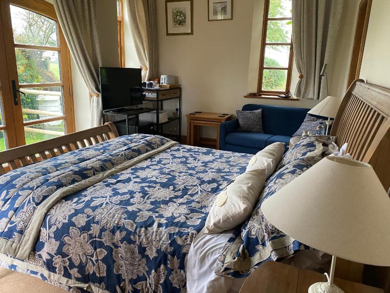 Deluxe King Suite image 4