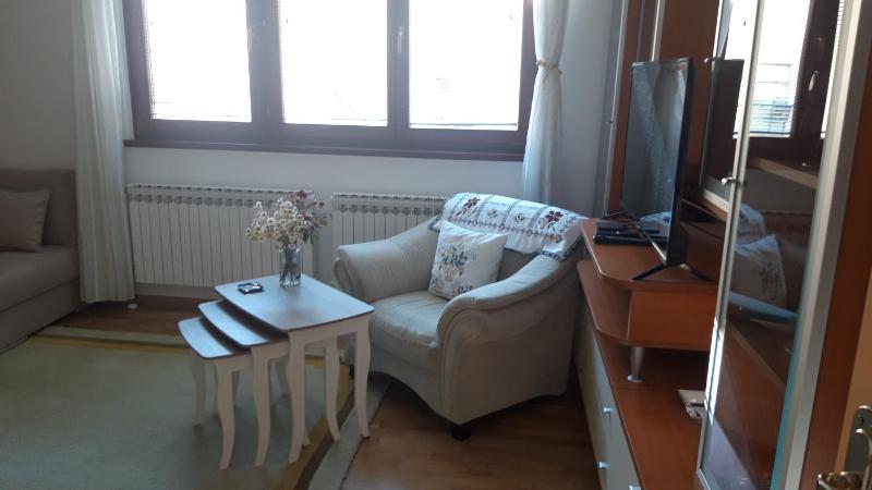 Apartman Oasis 2 Ilidza - image 13