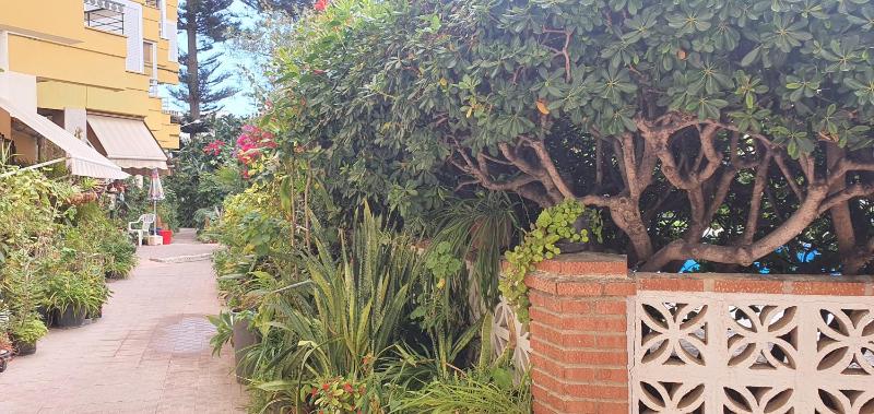 APARTAMENTO Torre Del Mar - image 11