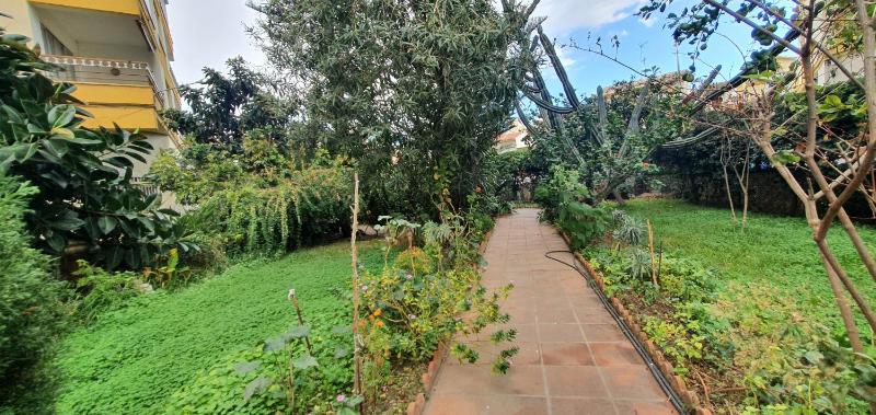 APARTAMENTO Torre Del Mar - image 13