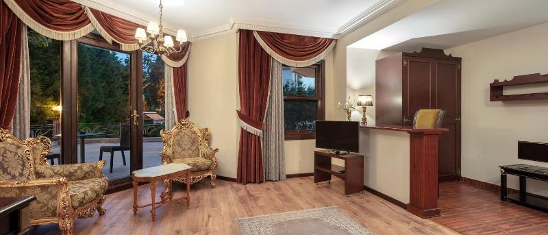 Deluxe Twin Room image 3