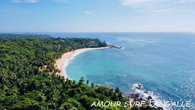 Amour Surf - image 29