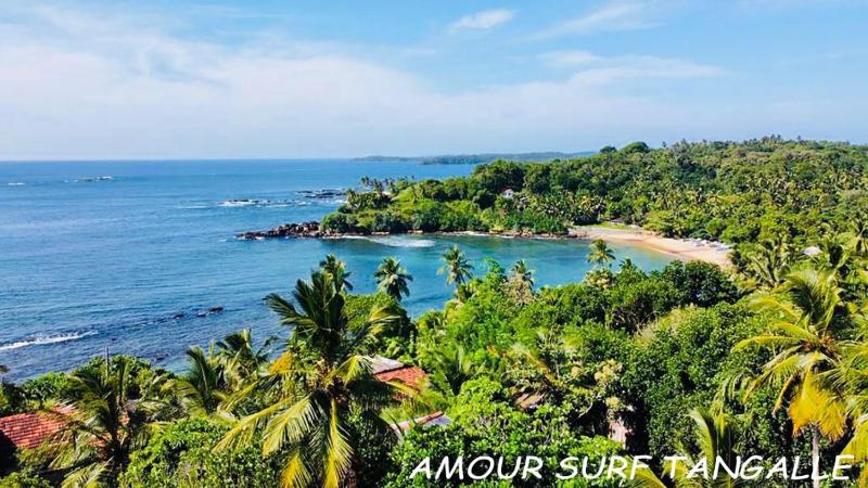 Amour Surf - image 24
