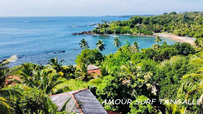 Amour Surf - image 2