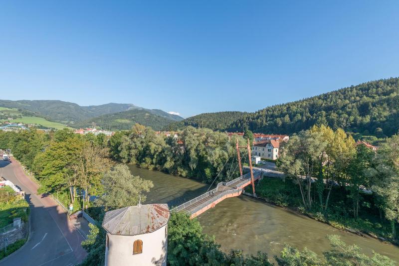 Suite with River View image 3