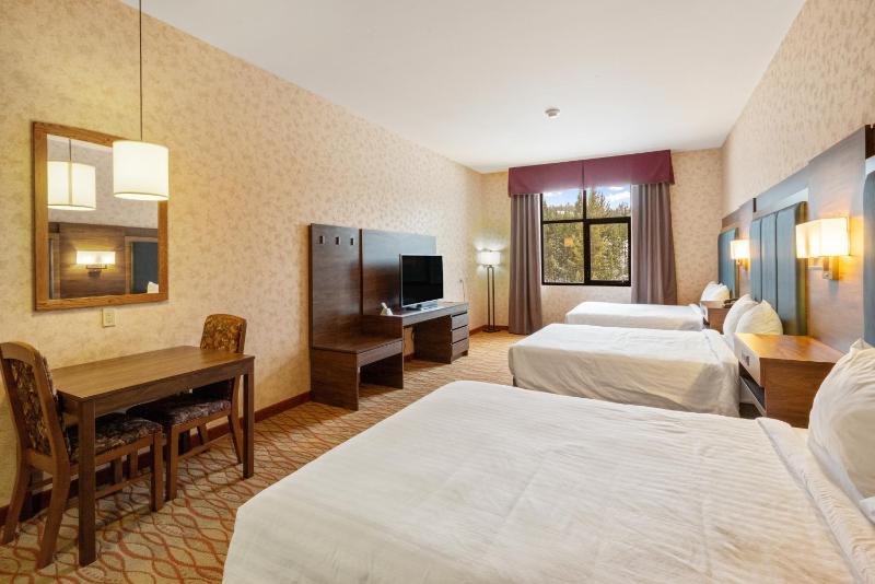 Three Queen Beds - Mountain View  image 4