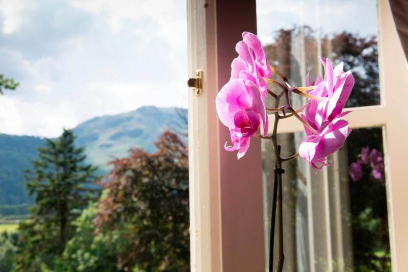 Superior Double Room with Garden View image 2