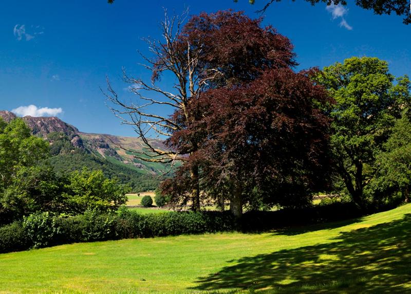 Double or Twin Room with Mountain View image 3