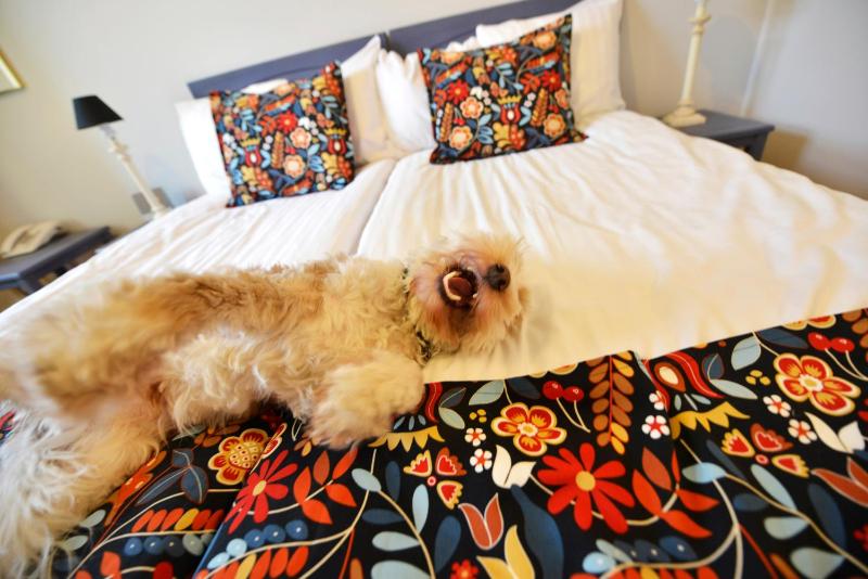 Standard Twin Room with Terrace - Pet Friendly/Non-Smoking image 3