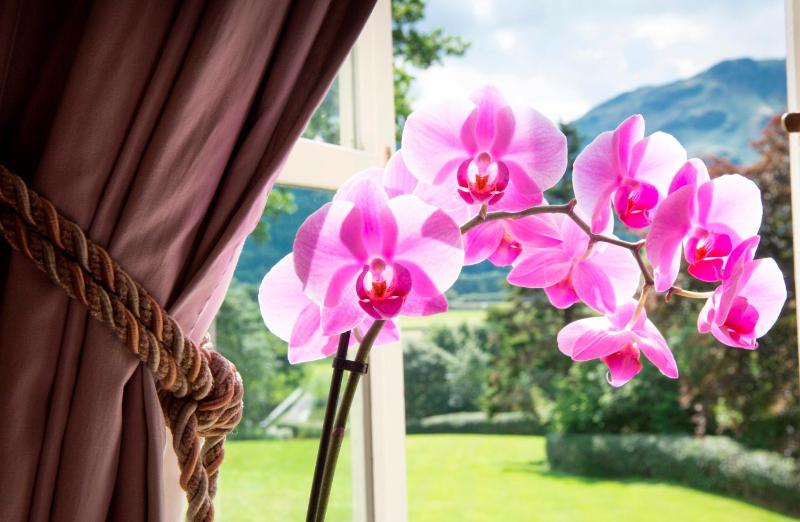 Double or Twin Room with Mountain View image 1