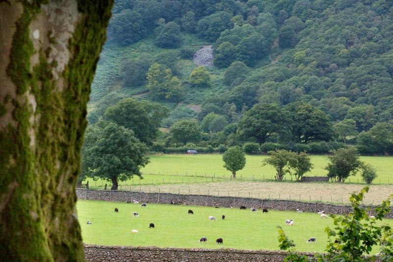 Standard Double Room with Mountain View image 3