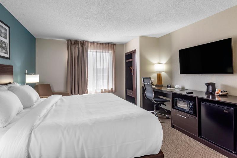 Standard King Room - Non-Smoking  image 4