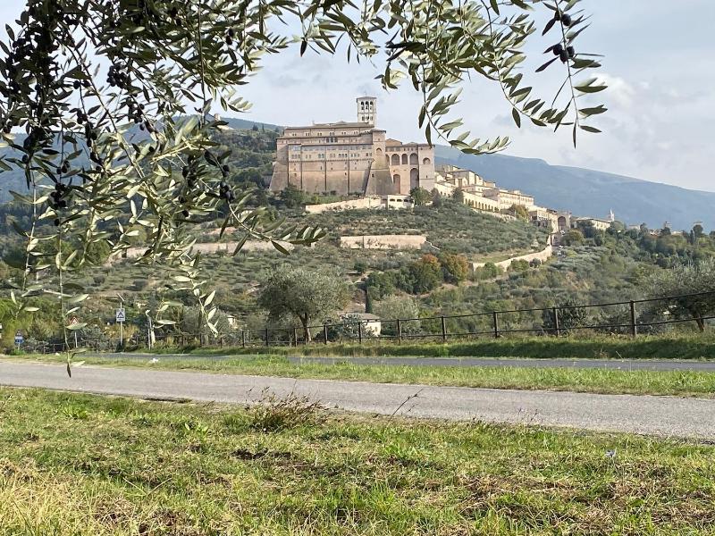 Agriturismo Il Girasole Assisi - image 40