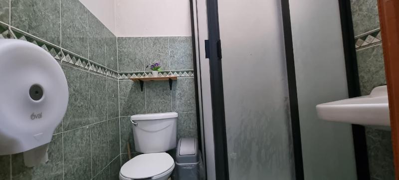 HOM Roma - image 6