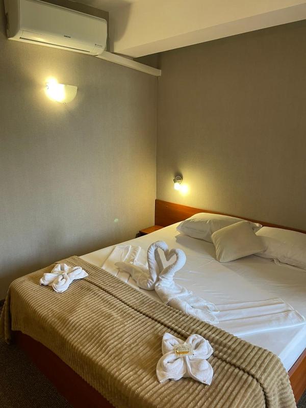Double or Twin Room image 4