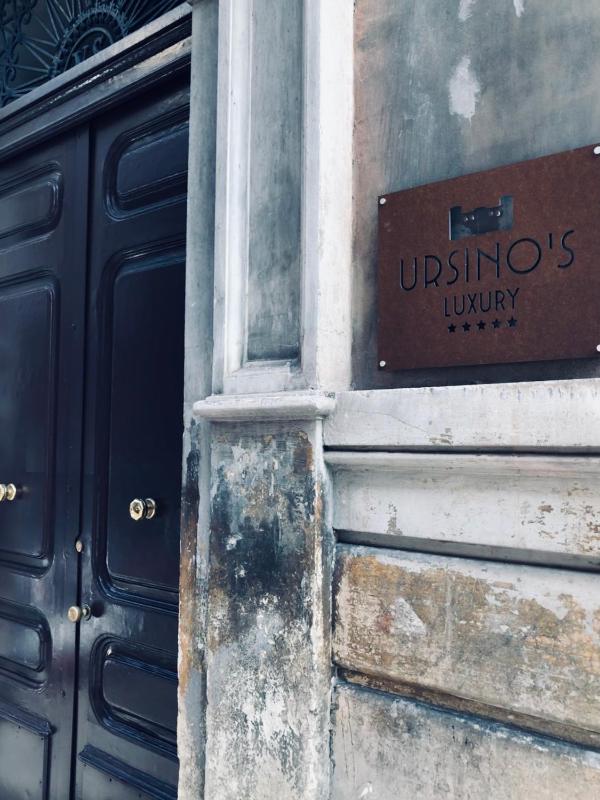 Ursino's Luxury - image 13
