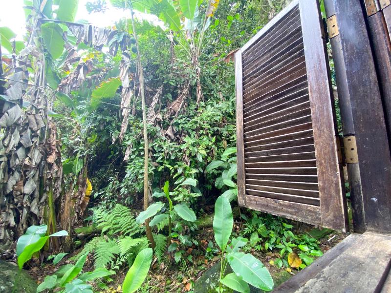 Sintonia Surf Hostel e Bar - image 5