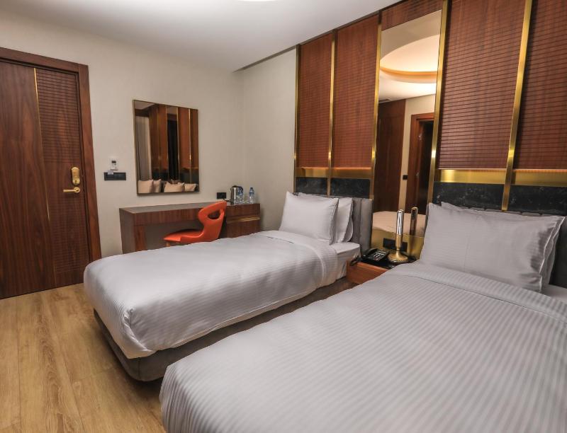 Premier Twin Room image 1