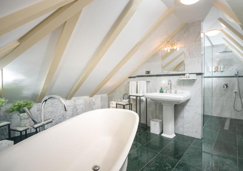 Deluxe Suite image 4