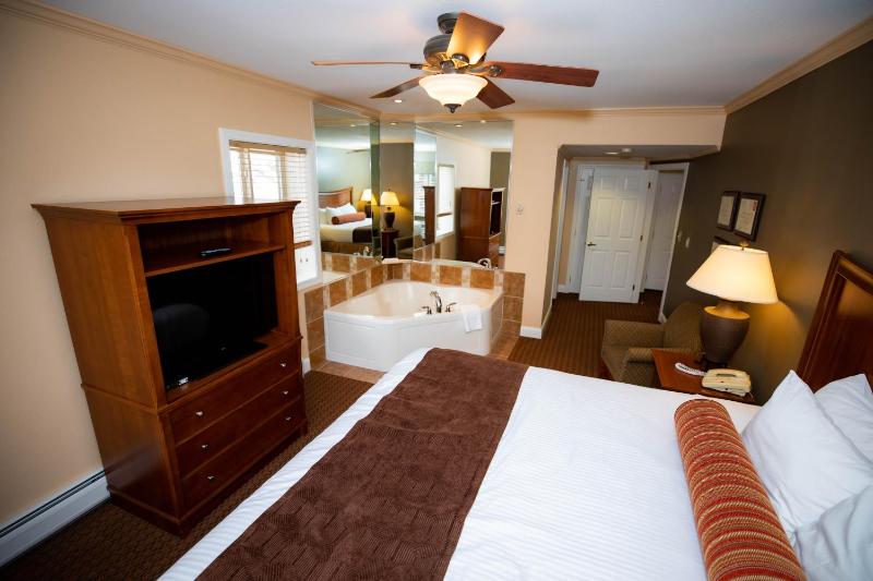 Deluxe One Bed Room Suite image 2