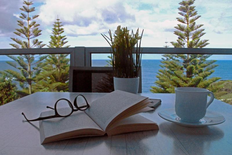 Penthouse Apartment image 4