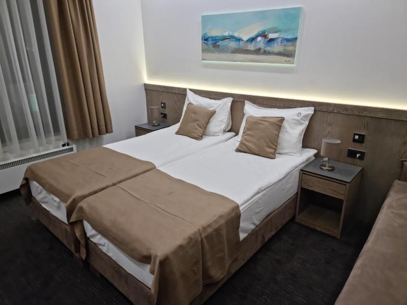 Standard Twin Room image 1