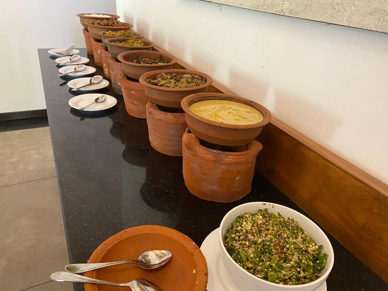 Hummingbird Leisure Villa-Anuradhapura - image 8