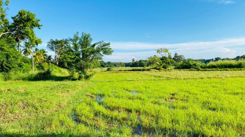 Hummingbird Leisure Villa-Anuradhapura - image 26