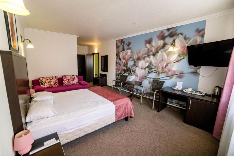 Junior Suite image 4
