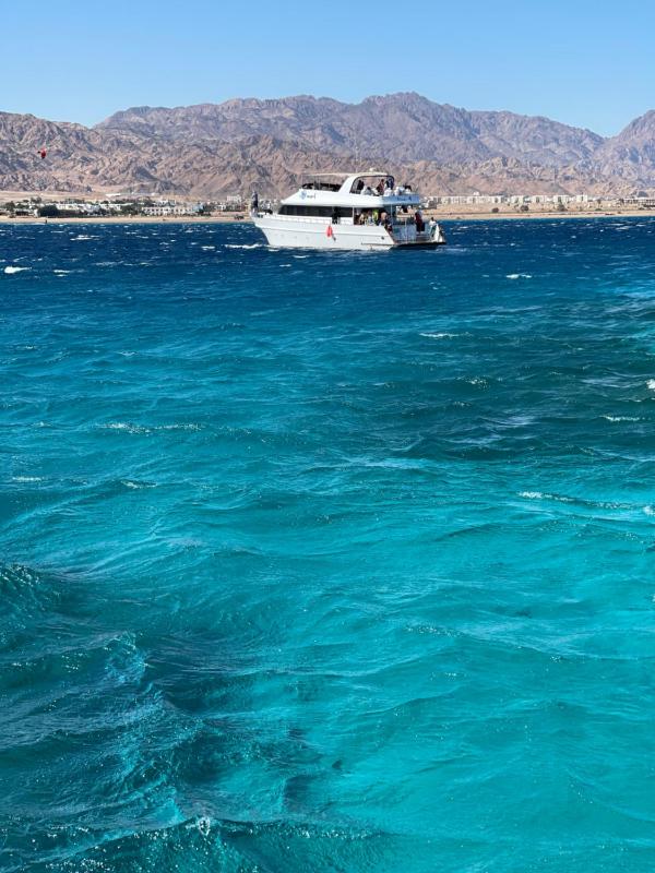 Swiss Royal DAHAB - image 25