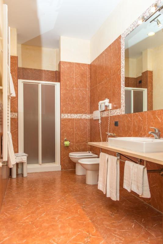 Classic Double or Twin Room image 4