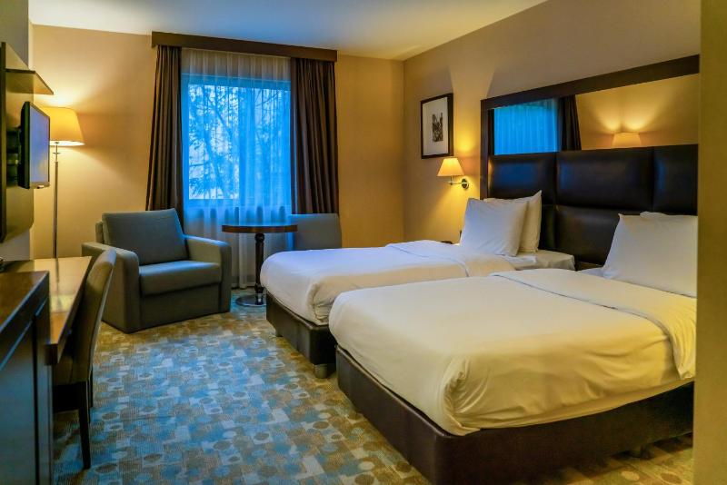 Deluxe Twin Room image 2