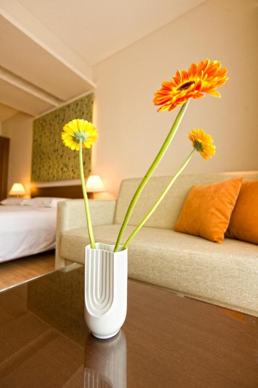Double or Twin Room image 4