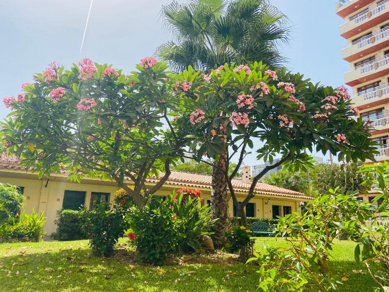 Hotel Los Jazmines - image 23