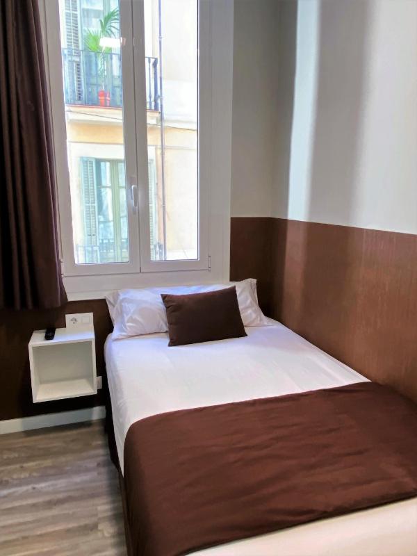 Single Room image 1