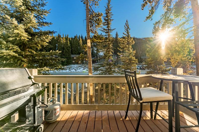 Ironwood Townhome 2989 - Keystone2989com - image 28