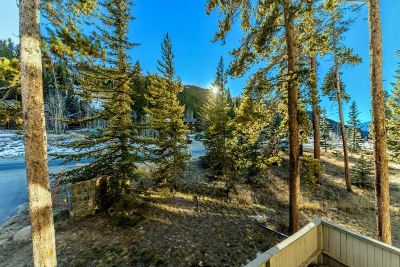 Ironwood Townhome 2989 - Keystone2989com - image 17