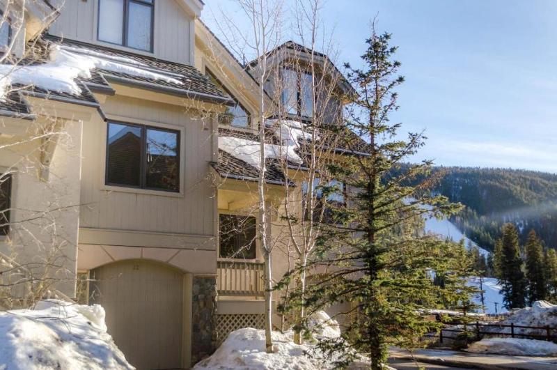 Ironwood Townhome 2989 - Keystone2989com - image 43