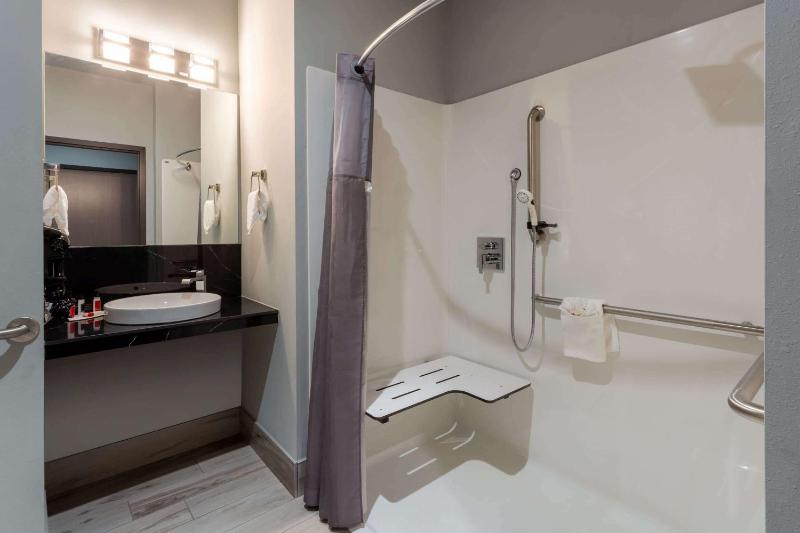 King Room - Pet Friendly/Mobility Access/Non-Smoking image 2