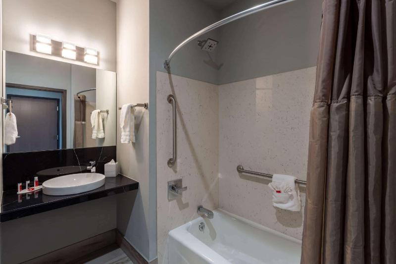 King Studio Suite - Mobility Access/Non-Smoking image 2