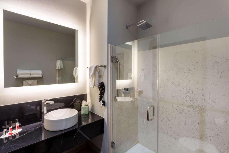 King Studio Suite - Non-Smoking image 4