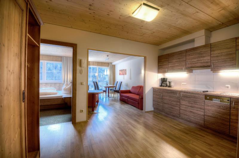 Large One-Bedroom Apartment image 1