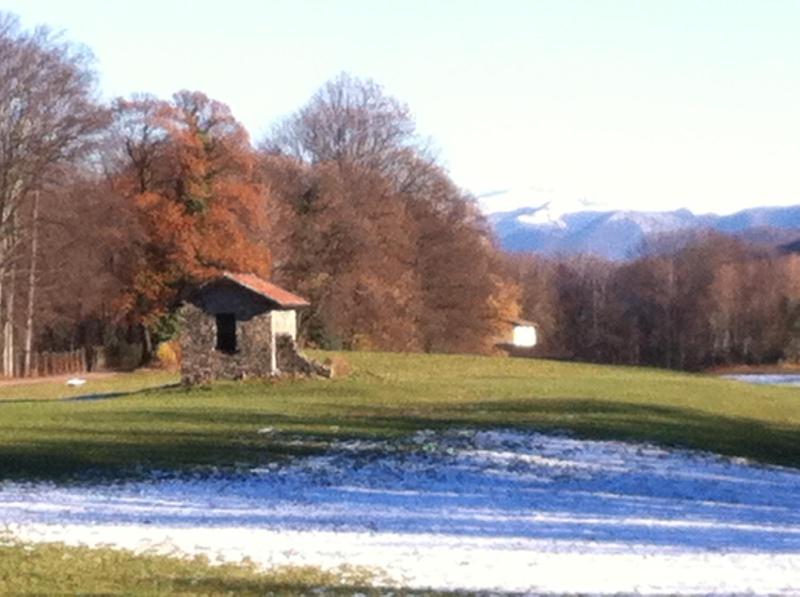 Ca' di Pincia - image 19